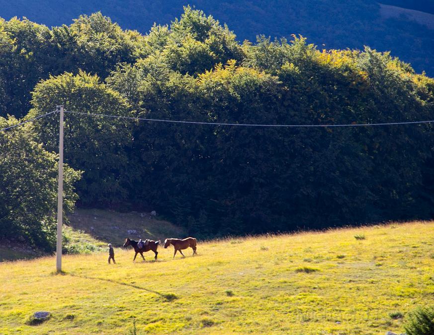 IMG_1100 copy.jpg - Drive to Sulmona